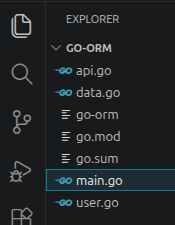 go code structure